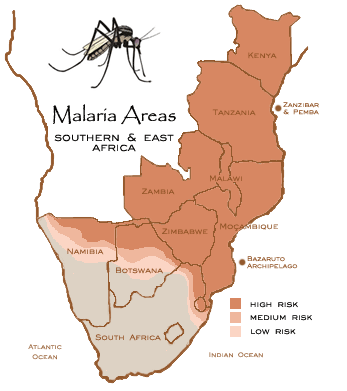 310813 malaria